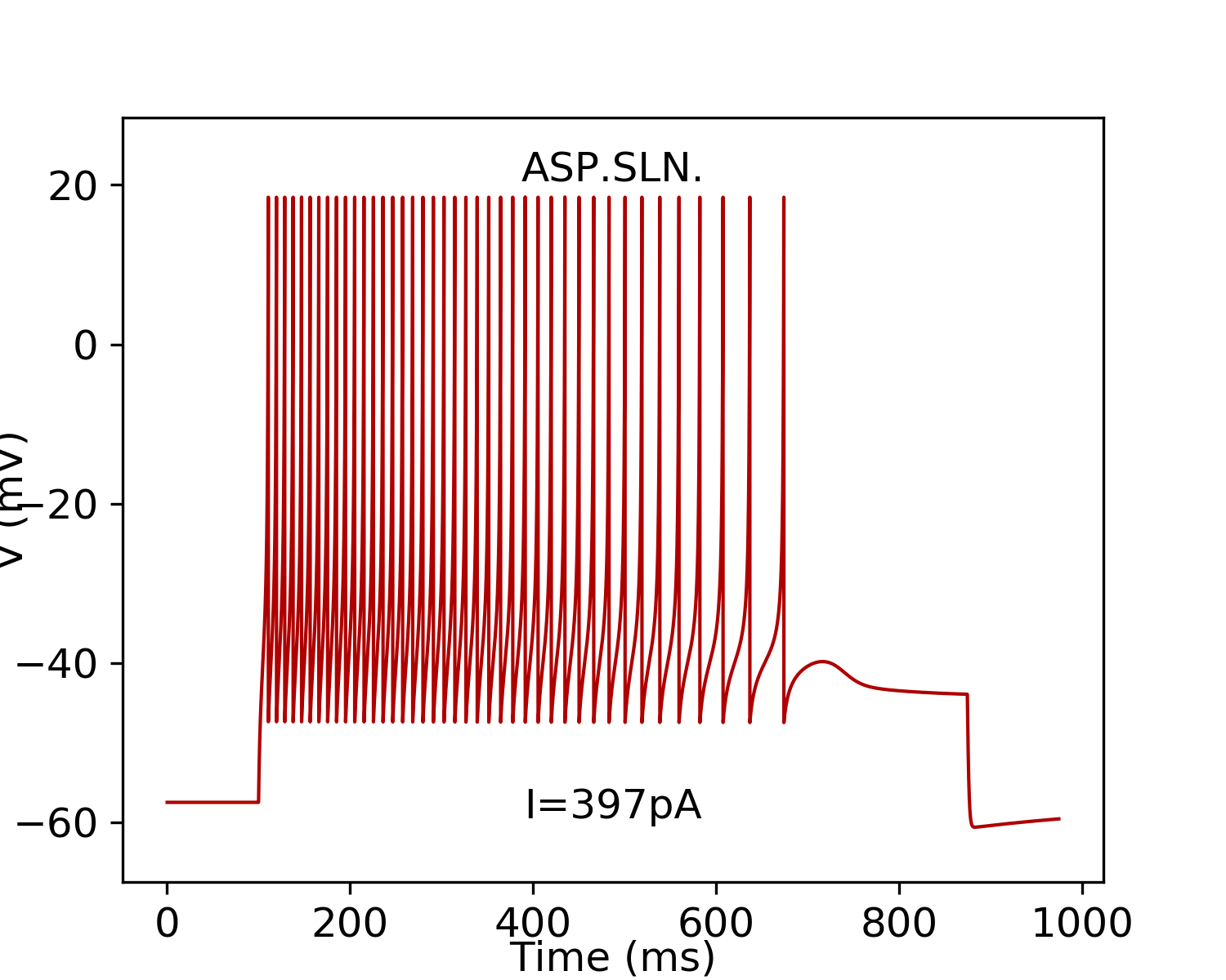 Neuron type - CA3 Basket