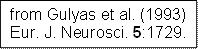 from Gulyas et al. (1993) Eur. J. Neurosci. 5:1729.